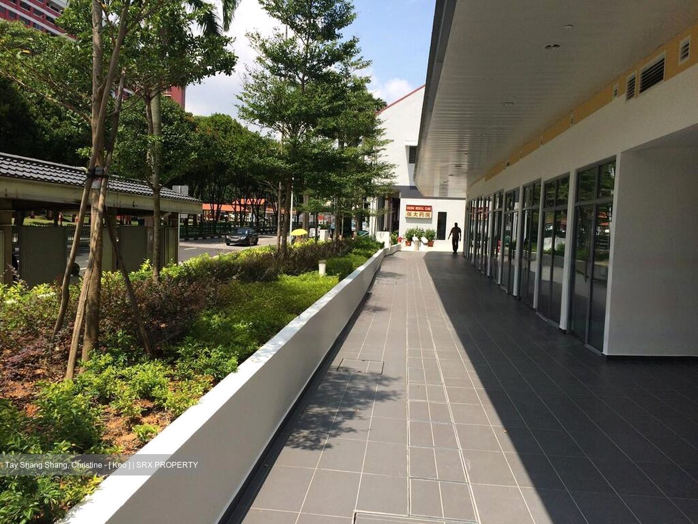 Suites @ Bukit Timah (D21), Shop House #460183041